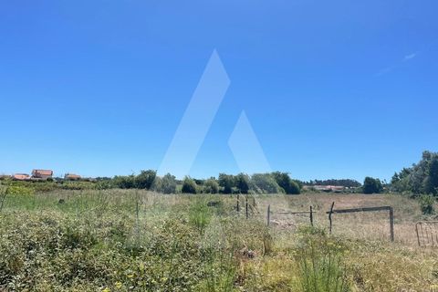 Helårsgrund i Aveiro, Aveiro, Aveiro - € 135.000 | Ref: 1012077/24 GL - foto 3