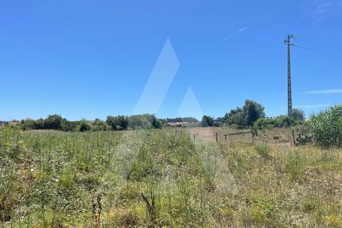 Helårsgrund i Aveiro, Aveiro, Aveiro - € 135.000 | Ref: 1012077/24 GL - foto 5