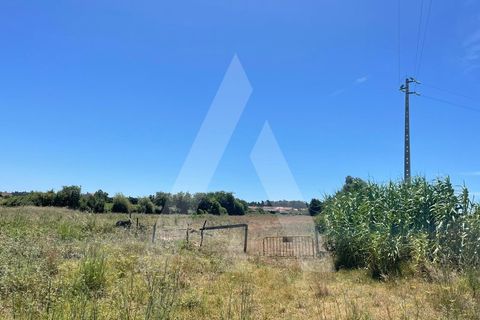 Helårsgrund i Aveiro, Aveiro, Aveiro - € 135.000 | Ref: 1012077/24 GL - foto 6