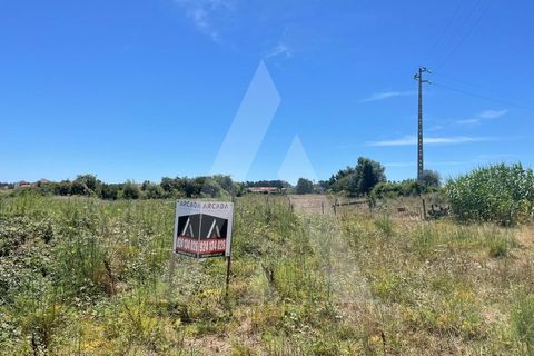 Helårsgrund i Aveiro, Aveiro, Aveiro - € 135.000 | Ref: 1012077/24 GL - foto 8