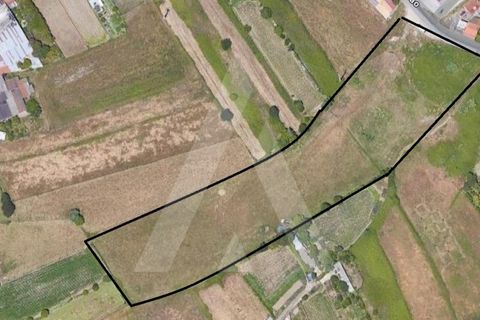 Helårsgrund i Aveiro, Aveiro, Aveiro - € 135.000 | Ref: 1012077/24 GL - foto 9