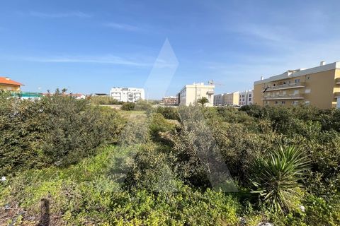 Helårsgrund i Vagos, Aveiro, Vagos - € 200.000 | Ref: 1012022/24 GL - foto 2