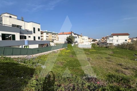 Helårsgrund i Vagos, Aveiro, Vagos - € 250.000 | Ref: 1012015/24 GL - foto 5