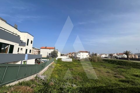 Helårsgrund i Vagos, Aveiro, Vagos - € 250.000 | Ref: 1012015/24 GL - foto 9