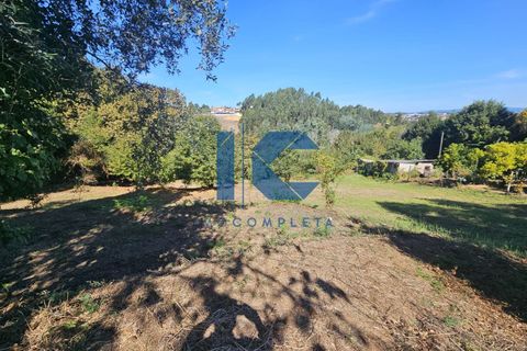 Helårsgrund i Agueda, Aveiro, Agueda - € 67.000 | Ref: 20240900402 - foto 2
