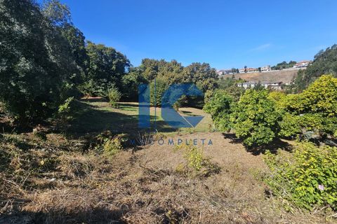 Helårsgrund i Agueda, Aveiro, Agueda - € 67.000 | Ref: 20240900402 - foto 3