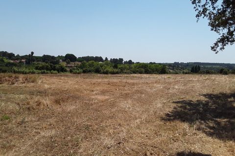 Terra a Pontevel, Santarem, Pontevel - € 60.000 | Ref: CA-61 - foto 2