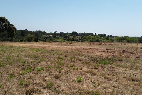 Terra a Pontevel, Santarem, Pontevel - € 60.000 | Ref: CA-61 - foto 3