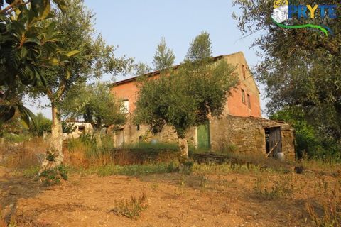 Villa i Serta, Castelo Branco, Serta - € 87.000 | Ref: VF303 - foto 5