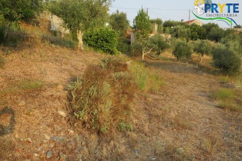 Villa i Serta, Castelo Branco, Serta - € 87.000 | Ref: VF303 - foto 9