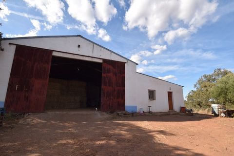 Terra a Alandroal, Evora, Alandroal - € 3.500.000 | Ref: SÒL_128 - foto 2