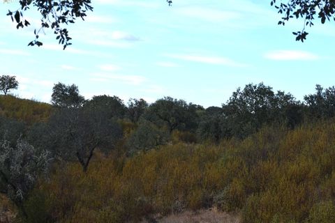 Terra a Alandroal, Evora, Alandroal - € 3.500.000 | Ref: SÒL_128 - foto 8