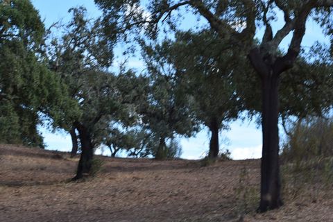 Terra a Alandroal, Evora, Alandroal - € 3.500.000 | Ref: SÒL_128 - foto 9