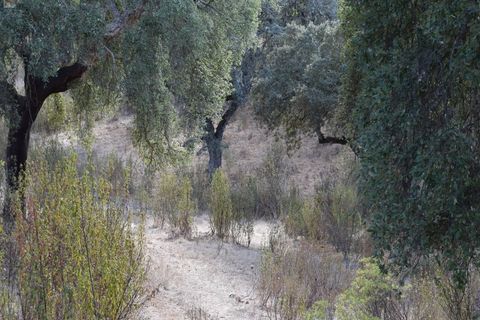 Terra a Alandroal, Evora, Alandroal - € 3.500.000 | Ref: SÒL_128 - foto 10