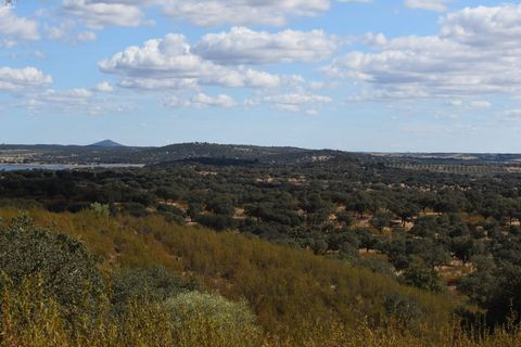 Terra a Alandroal, Evora, Alandroal - € 3.500.000 | Ref: SÒL_128 - foto 14