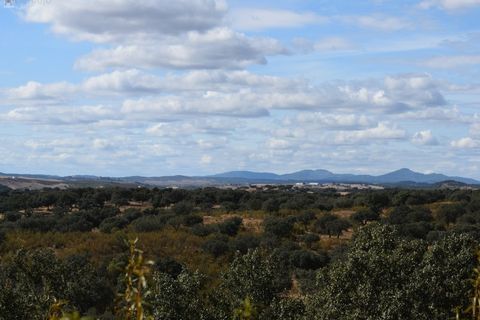 Terra a Alandroal, Evora, Alandroal - € 3.500.000 | Ref: SÒL_128 - foto 15