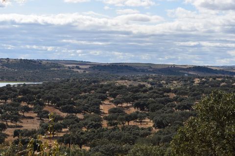 Terra a Alandroal, Evora, Alandroal - € 3.500.000 | Ref: SÒL_128 - foto 17