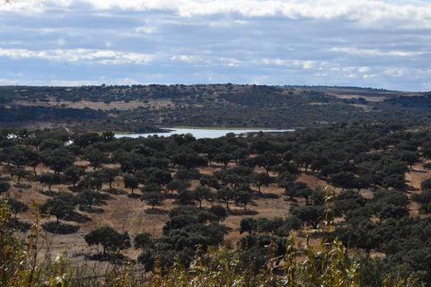 Terra a Alandroal, Evora, Alandroal - € 3.500.000 | Ref: SÒL_128 - foto 7