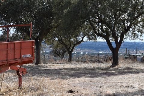 Terra a Alandroal, Evora, Alandroal - € 3.500.000 | Ref: SÒL_128 - foto 18
