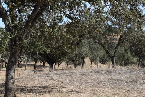 Terra a Alandroal, Evora, Alandroal - € 3.500.000 | Ref: SÒL_128 - foto 19