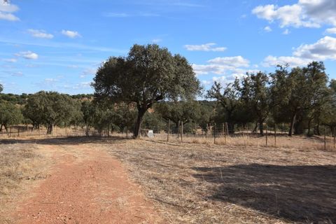 Terra a Alandroal, Evora, Alandroal - € 3.500.000 | Ref: SÒL_128 - foto 20
