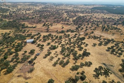 Terra a Alandroal, Evora, Alandroal - € 3.500.000 | Ref: SÒL_128 - foto 4