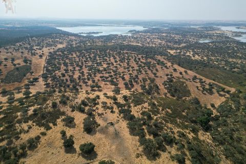 Terra a Alandroal, Evora, Alandroal - € 3.500.000 | Ref: SÒL_128 - foto 21