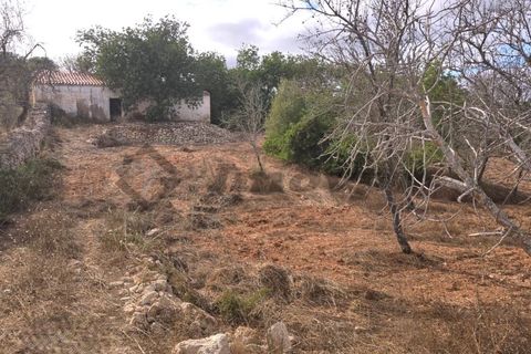 Farm i Paderne, Faro, Paderne - € 220.000 | Ref: FIN_70 - foto 1