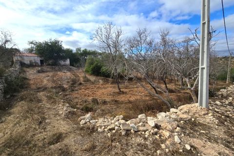 Farm i Paderne, Faro, Paderne - € 220.000 | Ref: FIN_70 - foto 2