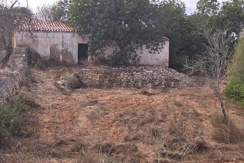 Farm i Paderne, Faro, Paderne - € 220.000 | Ref: FIN_70 - foto 3