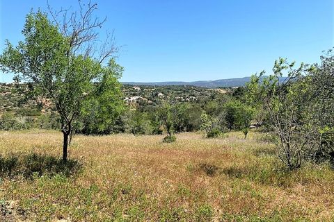 Farm i Paderne, Faro, Paderne - € 220.000 | Ref: FIN_70 - foto 4