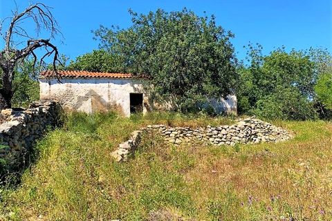 Farm i Paderne, Faro, Paderne - € 220.000 | Ref: FIN_70 - foto 5