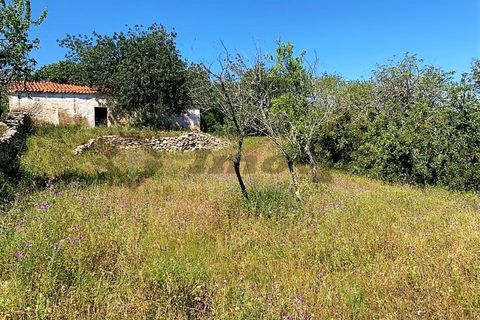 Farm i Paderne, Faro, Paderne - € 220.000 | Ref: FIN_70 - foto 6