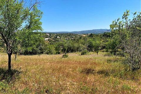 Farm i Paderne, Faro, Paderne - € 220.000 | Ref: FIN_70 - foto 9