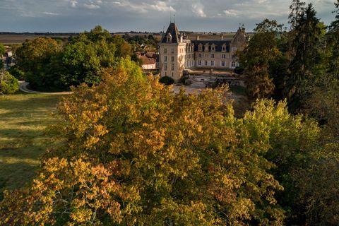 Landejendom i Sancerre, Cher, Sancerre - € 8.600.000 | Ref: 85315714 - foto 2