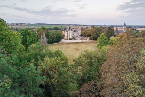 Landejendom i Sancerre, Cher, Sancerre - € 8.600.000 | Ref: 85315714 - foto 4