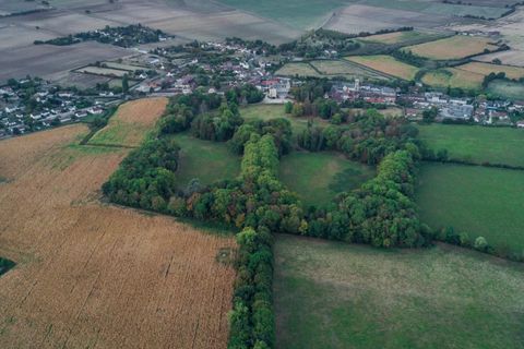 Landejendom i Sancerre, Cher, Sancerre - € 8.600.000 | Ref: 85315714 - foto 25