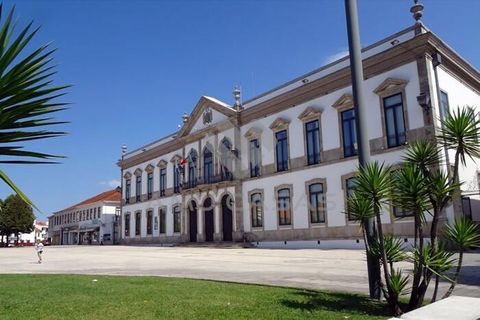Helårsgrund i Estarreja, Aveiro, Estarreja - € 42.000 | Ref: PP04102024 - foto 8