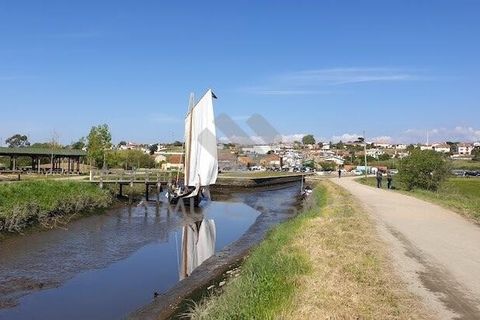 Helårsgrund i Estarreja, Aveiro, Estarreja - € 42.000 | Ref: PP04102024 - foto 9