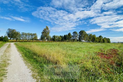 Tomt i Borgoricco, Padua, Borgoricco - € 73 500 | Ref: mb020-2024 - foto 3