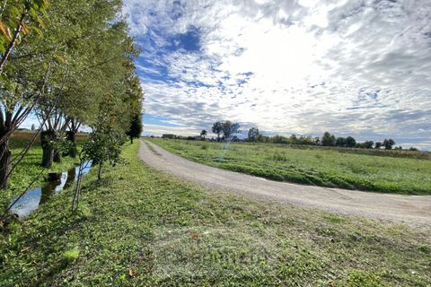 Tomt i Borgoricco, Padua, Borgoricco - € 73 500 | Ref: mb020-2024 - foto 4