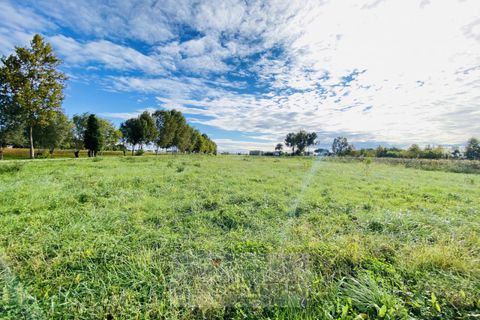 Tomt i Borgoricco, Padua, Borgoricco - € 73 500 | Ref: mb020-2024 - foto 5