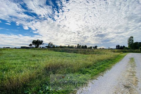 Tomt i Borgoricco, Padua, Borgoricco - € 73 500 | Ref: mb020-2024 - foto 7