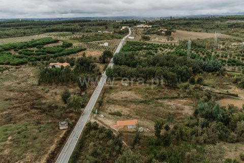 Landejendom i Seia, Guarda, Seia - € 90.000 | Ref: 382240123 - foto 6