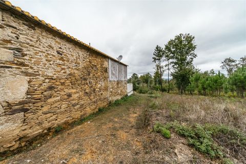 Landejendom i Seia, Guarda, Seia - € 90.000 | Ref: 382240123 - foto 10