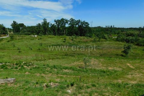 Landejendom i Seia, Guarda, Seia - € 90.000 | Ref: 382240123 - foto 17