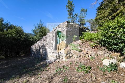 Villa i Ponte da Barca, Viana do Castelo, Ponte da Barca - € 57.000 | Ref: AVV-005-020 - foto 5