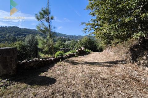 Villa i Ponte da Barca, Viana do Castelo, Ponte da Barca - € 57.000 | Ref: AVV-005-020 - foto 15
