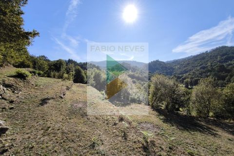 Villa i Ponte da Barca, Viana do Castelo, Ponte da Barca - € 57.000 | Ref: AVV-005-020 - foto 18