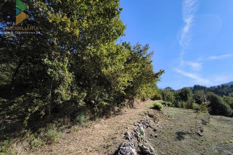 Villa i Ponte da Barca, Viana do Castelo, Ponte da Barca - € 57.000 | Ref: AVV-005-020 - foto 20